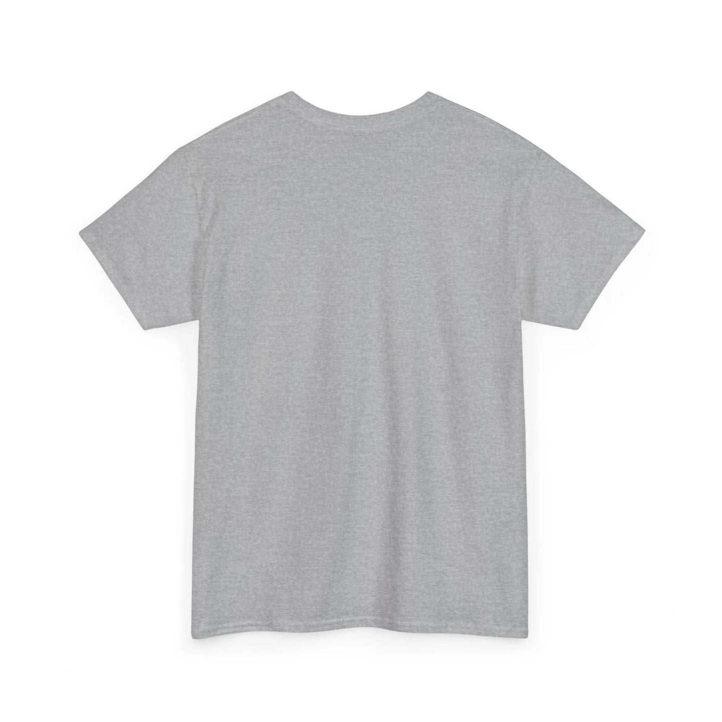 Plain light grey t-shirt back view on white background