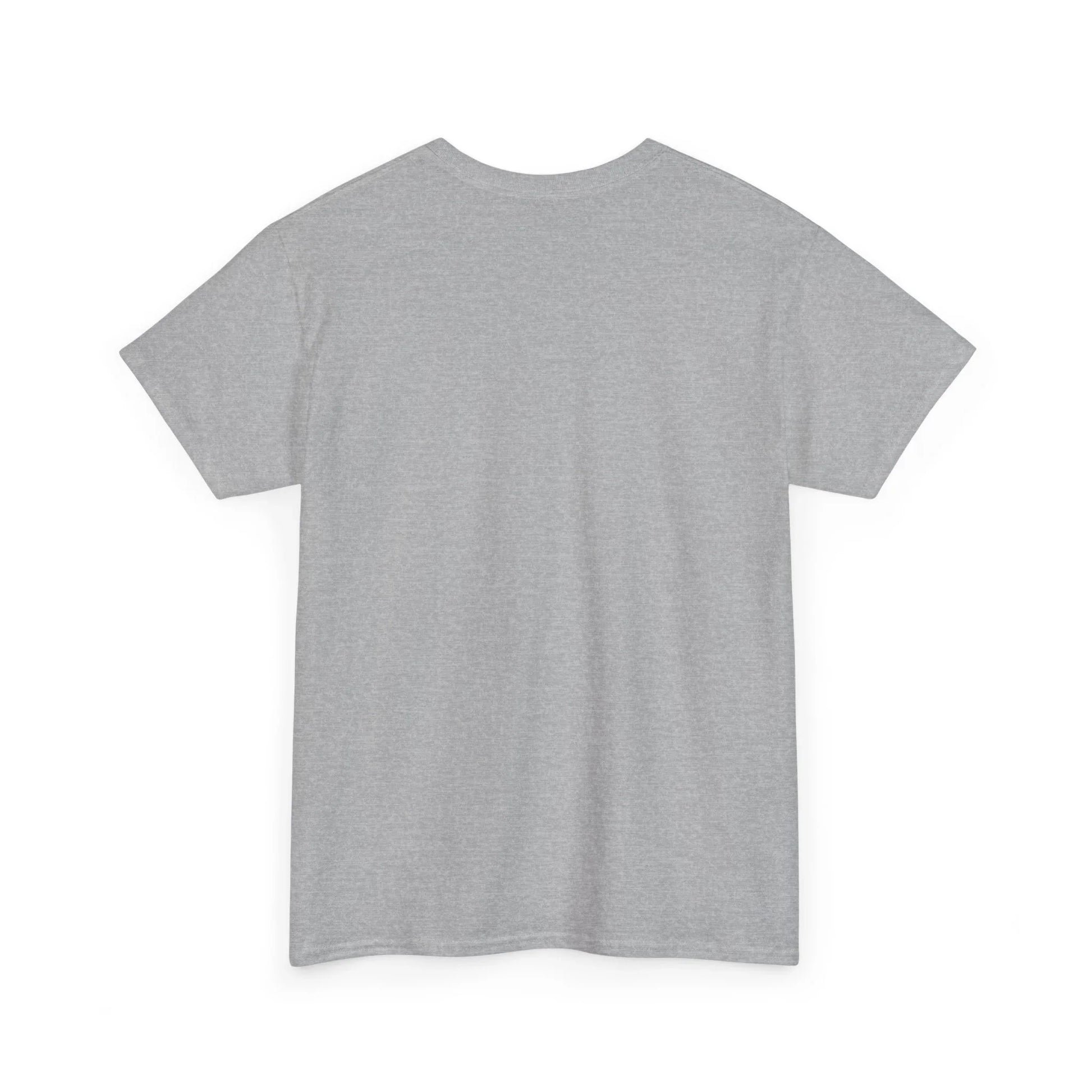 plain grey unisex t-shirt back view, soft cotton short sleeve shirt