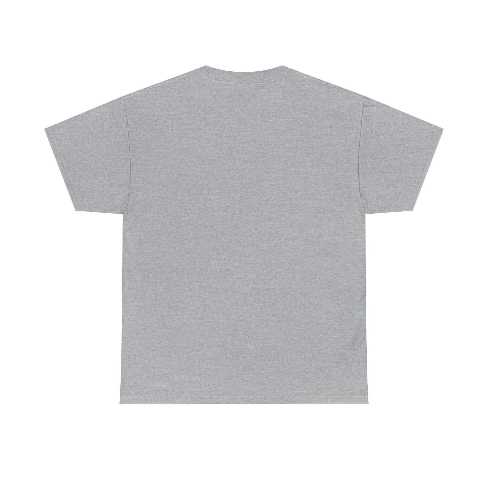 plain heather gray short sleeve t-shirt back view on white background